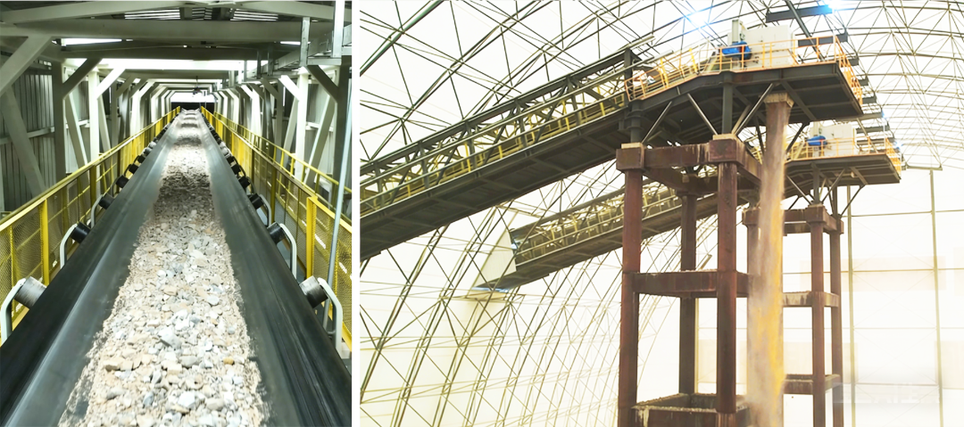 微信圖片_2026-04-03_142024_194