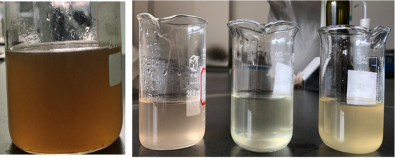 微信圖片_2026-04-16_155453_044